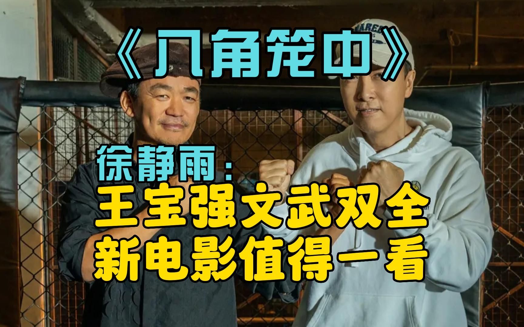 徐静雨:王宝强文戏武戏都顶级,八角笼中值得一看!哔哩哔哩bilibili