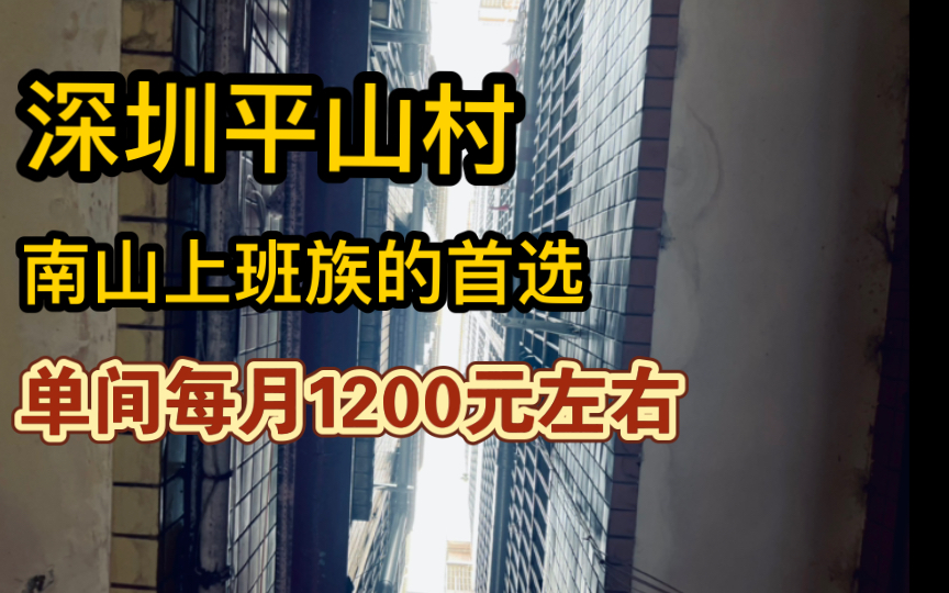 座落在深圳大学城旁的城中村,适合刚毕业准备在南山找工作的上班族!环境优美,地理位置优越,美食巨多的小村落,这就是南山西丽的平山村!哔哩哔...