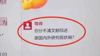 导师：你难道弄不清文献综述和国内外研究？