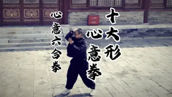 心意六合拳，最古老的内家拳之一，又称心意拳，十大形，传于上海，河南，安徽等地#心意拳 #十大形 #翀师兄 #心意六合拳