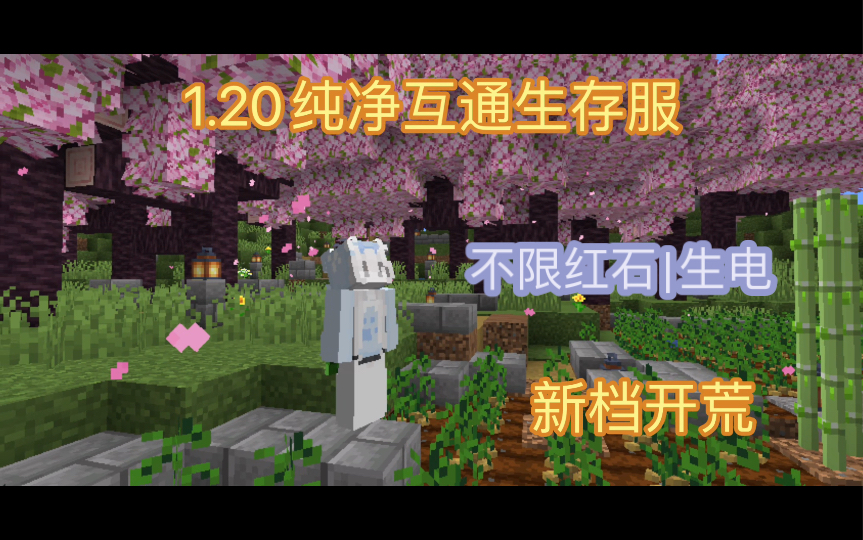 【Minecraft服务器】1.20.X互通纯净生存服招新|支持java基岩互通|离线可进|定期换档网络游戏热门视频