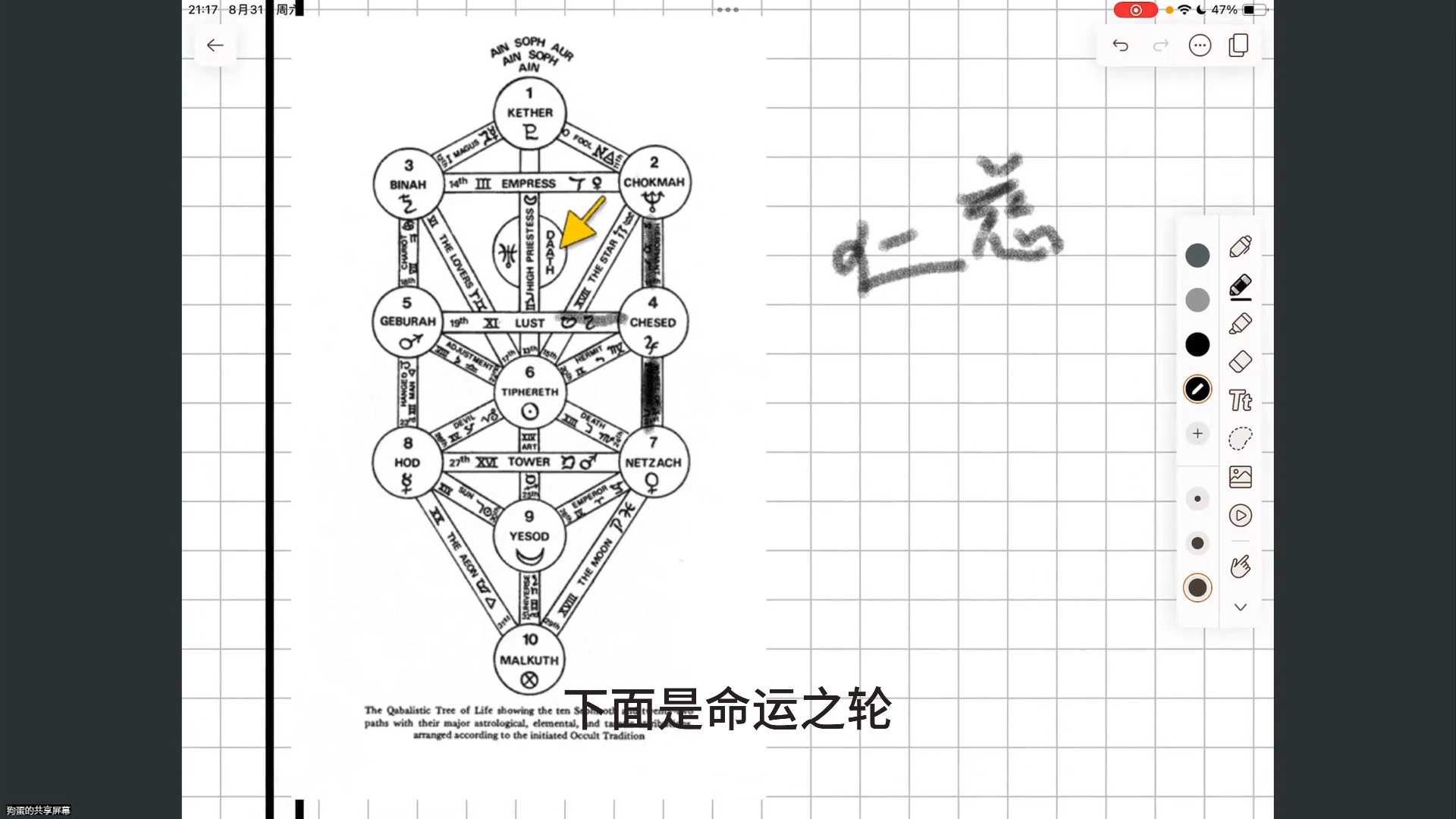 【零基础塔罗精讲】小阿卡纳4哔哩哔哩bilibili