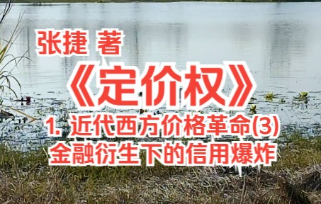 《定价权》(张捷 著):1. 近代西方价格革命(3)——金融衍生下的信用爆炸哔哩哔哩bilibili