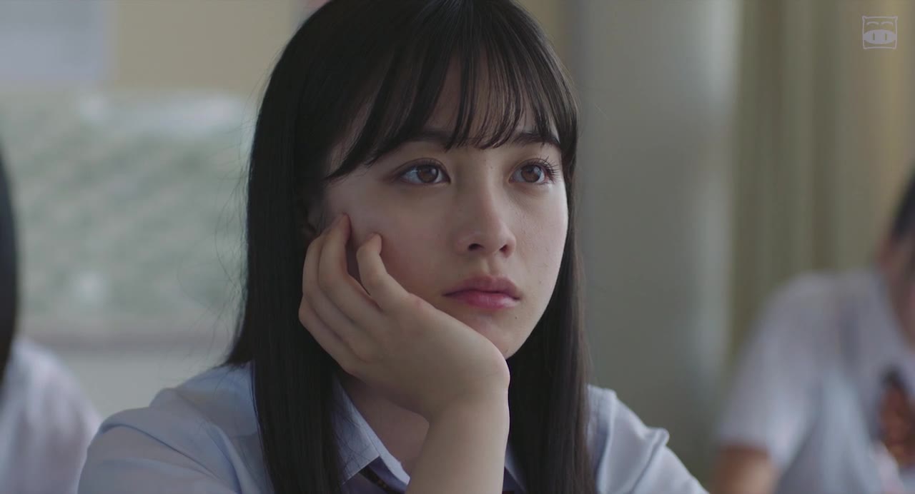 [春の光,夏の風]《春夏事件薄》桥本环奈——青春与音乐