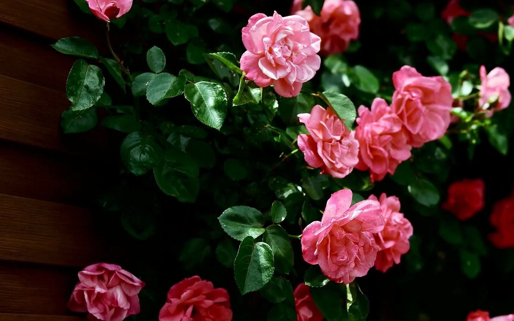 趣玩绘本阅读课程