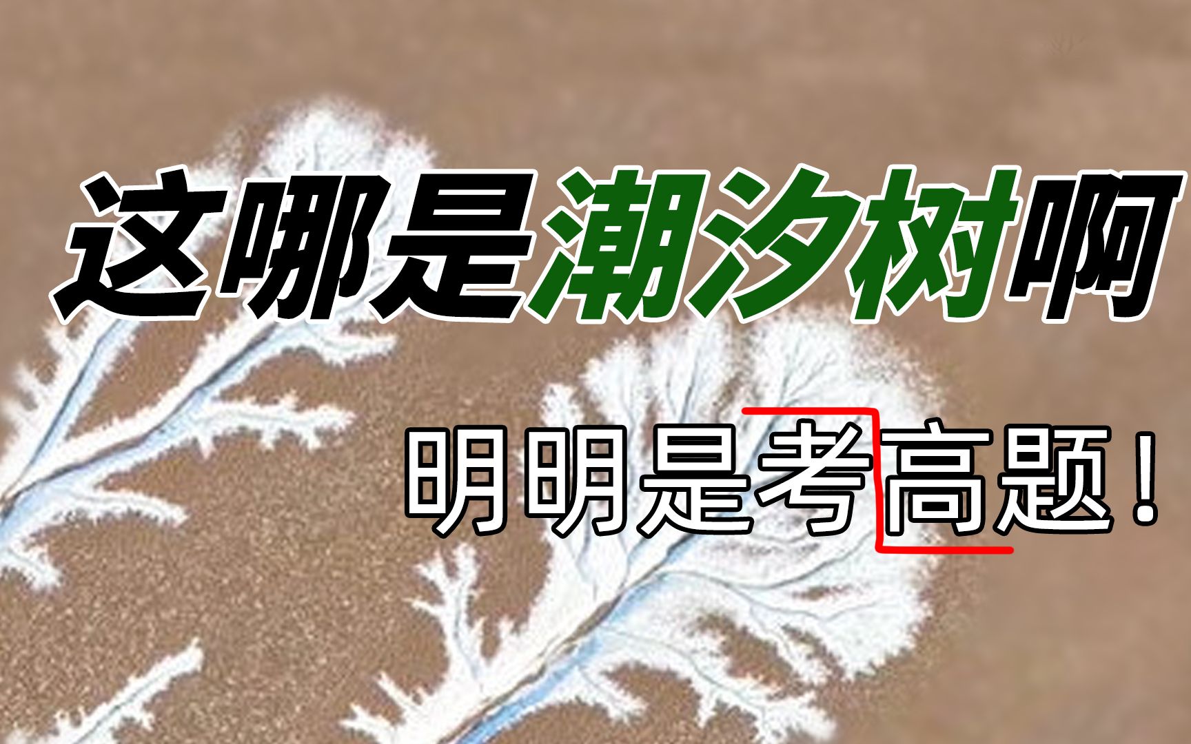 [图]【趣味地理】黄河入海口为何会出现冰冻的潮汐树？论画画还得是咱黄河母亲啊！