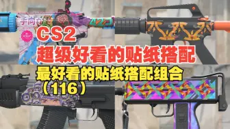 Download Video: 【CS2】4K贴纸组合呈现；不容错过的精选贴纸搭配大赏（116）