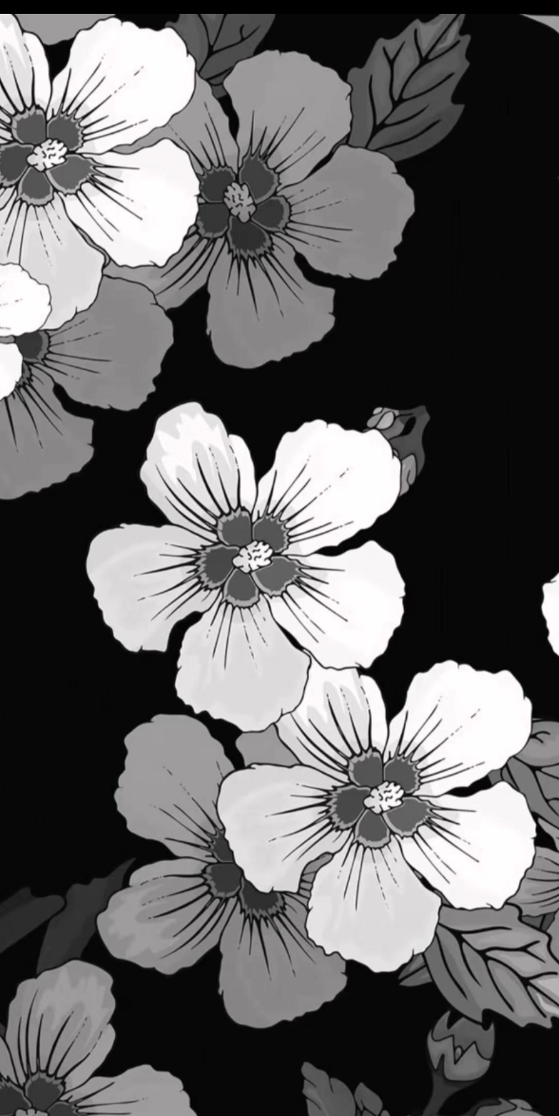 换壁纸喽_哔哩哔哩_bilibili