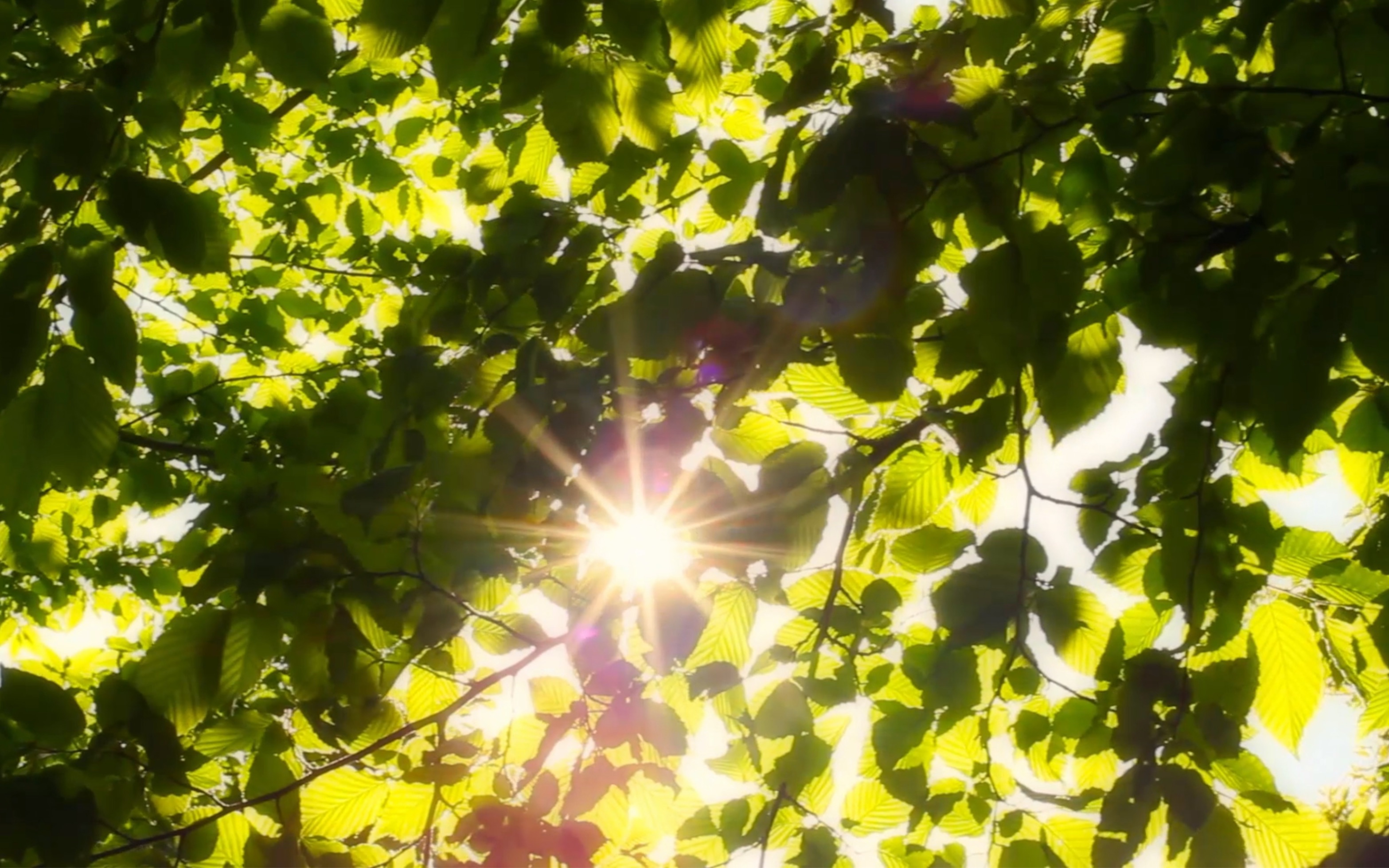 [图]《菊次郎的夏天》—用最简洁纯粹的音符，唤起我们最美好的初夏回忆