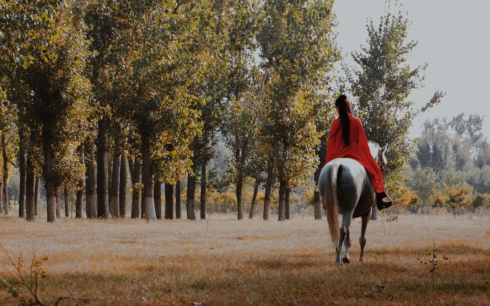 野骑丨策马江湖