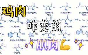 鸡肉是怎么变成你的肌肉的？了解下氨基酸和蛋白质吧～高中生物动画演示