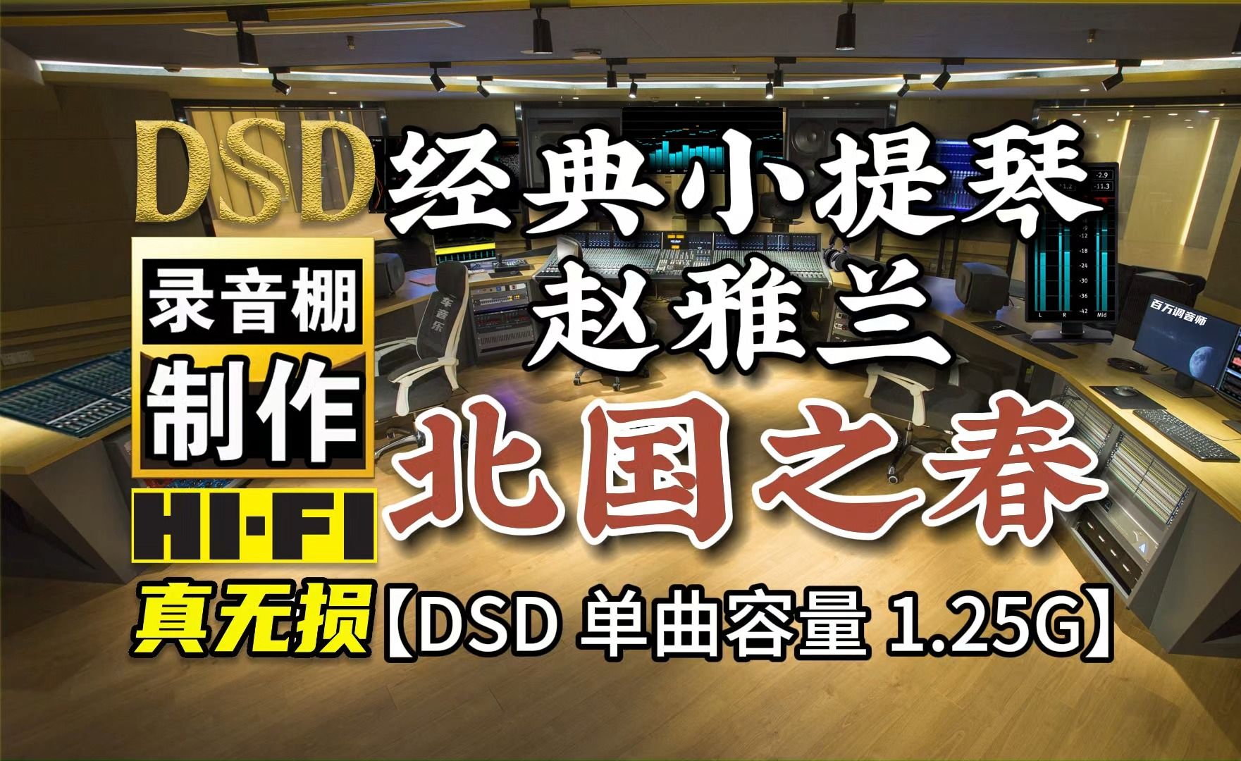 [图]经典小提琴演奏，美女赵雅兰《北国之春》DSD完整版，单曲容量1.25G，百万调音师专业录音棚制作，顶级hifi无损音乐