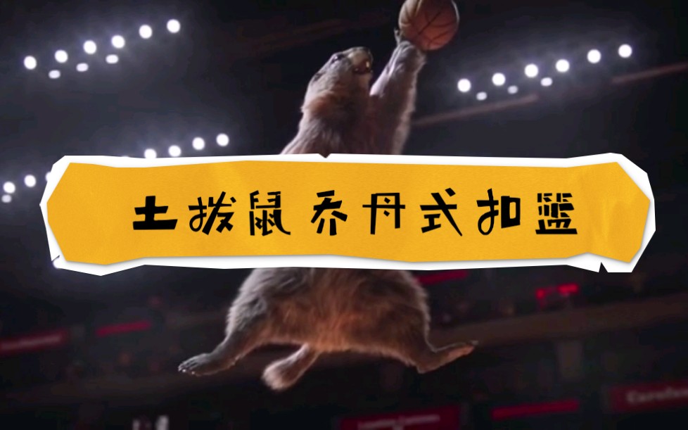 《土拨鼠运动会》之土拨鼠乔丹式扣篮