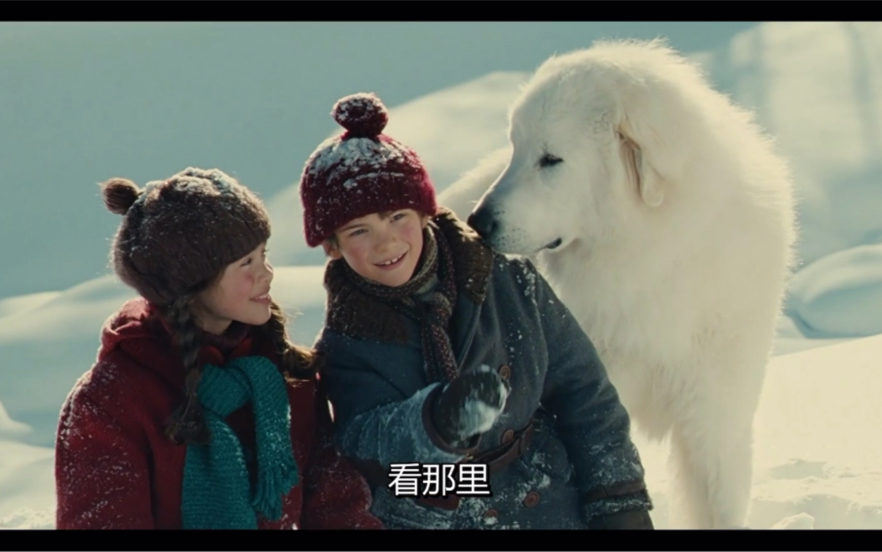 法国电影《belle》插曲loiseau鸟儿