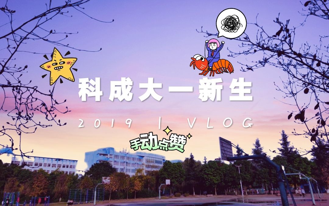 【大学生活】电子科技大学成都学院大一新生~2019VLOG(合作)哔哩哔哩bilibili