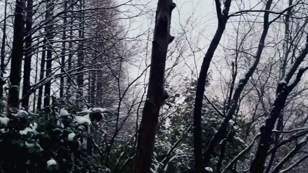 [图]初春的这一场雪