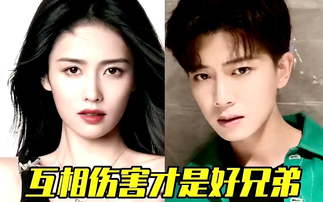任嘉伦白鹿只要在一块,互相伤害到停不下来,互怼互嘲才是好兄弟