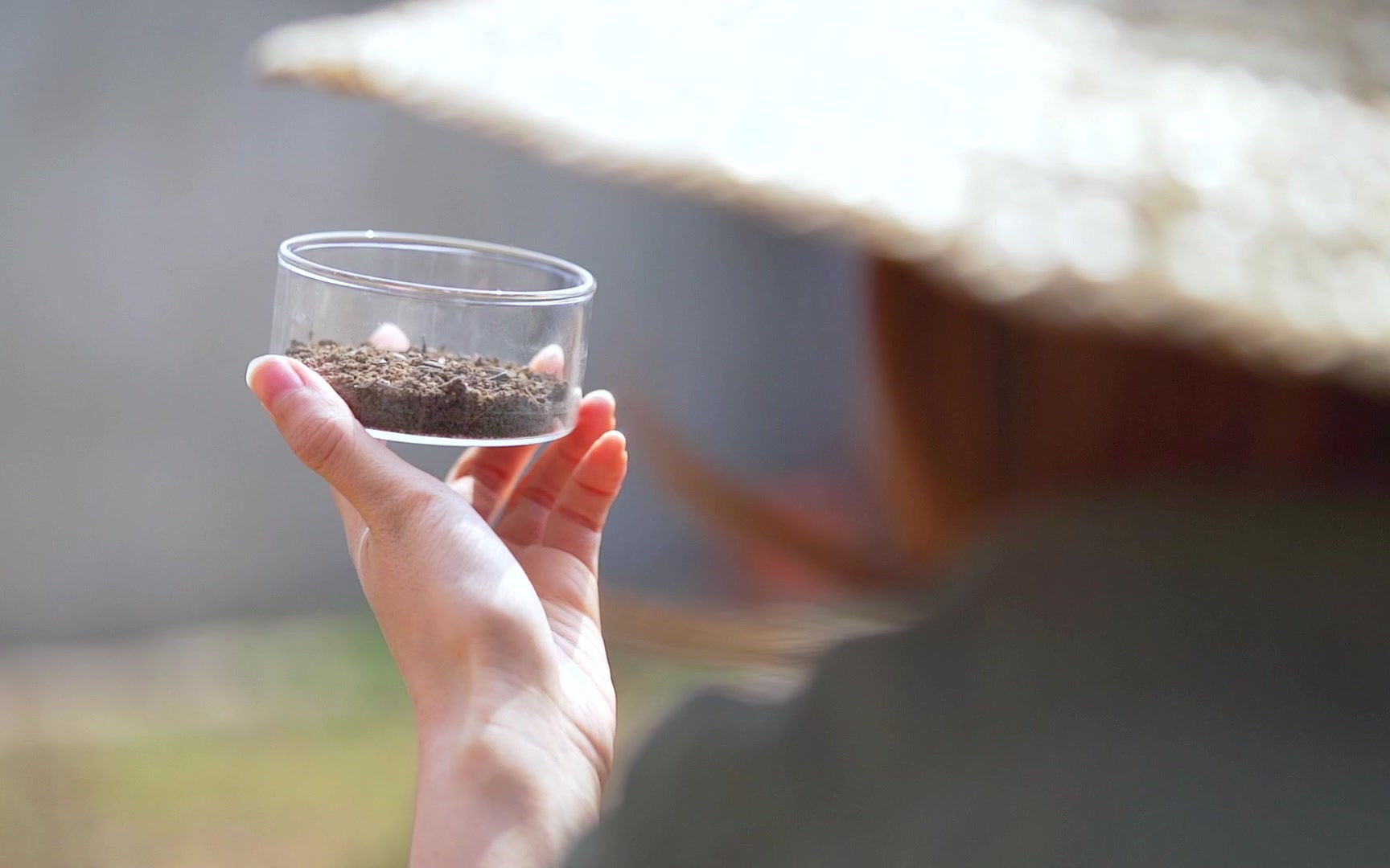 [图]我在潮白河边种种菜