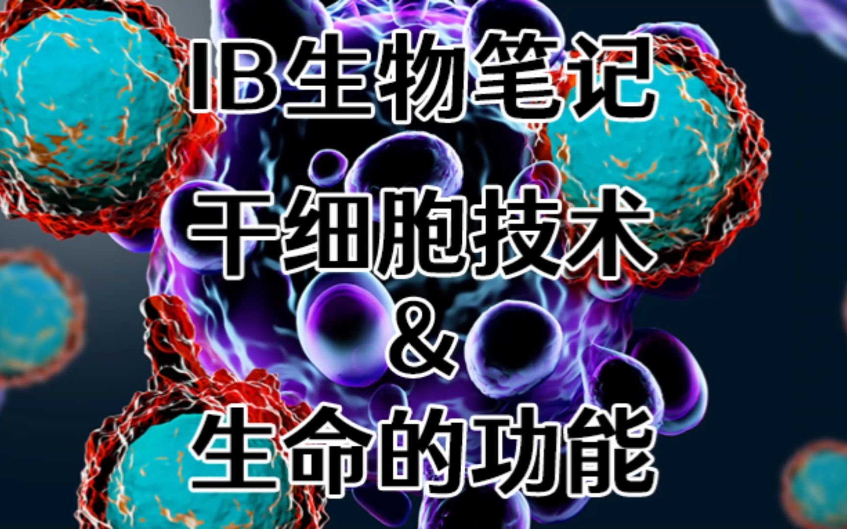 国际学校生物老师分享IB生物笔记(八)Stem Cells and the Functions of Life干细胞与生命的各种功能哔哩哔哩bilibili