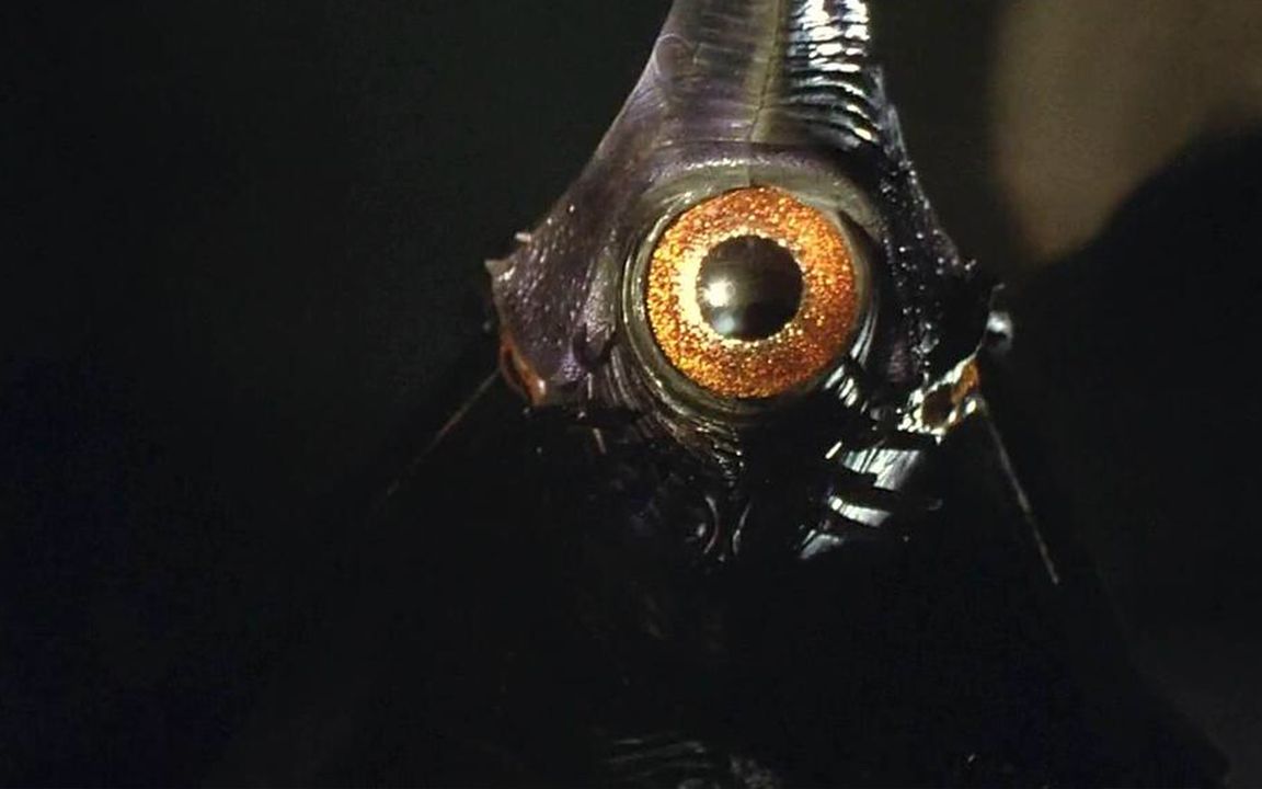 【谁语】5分钟爆笑解说《加美拉2 雷基欧袭来》,这次是千年王八精大战