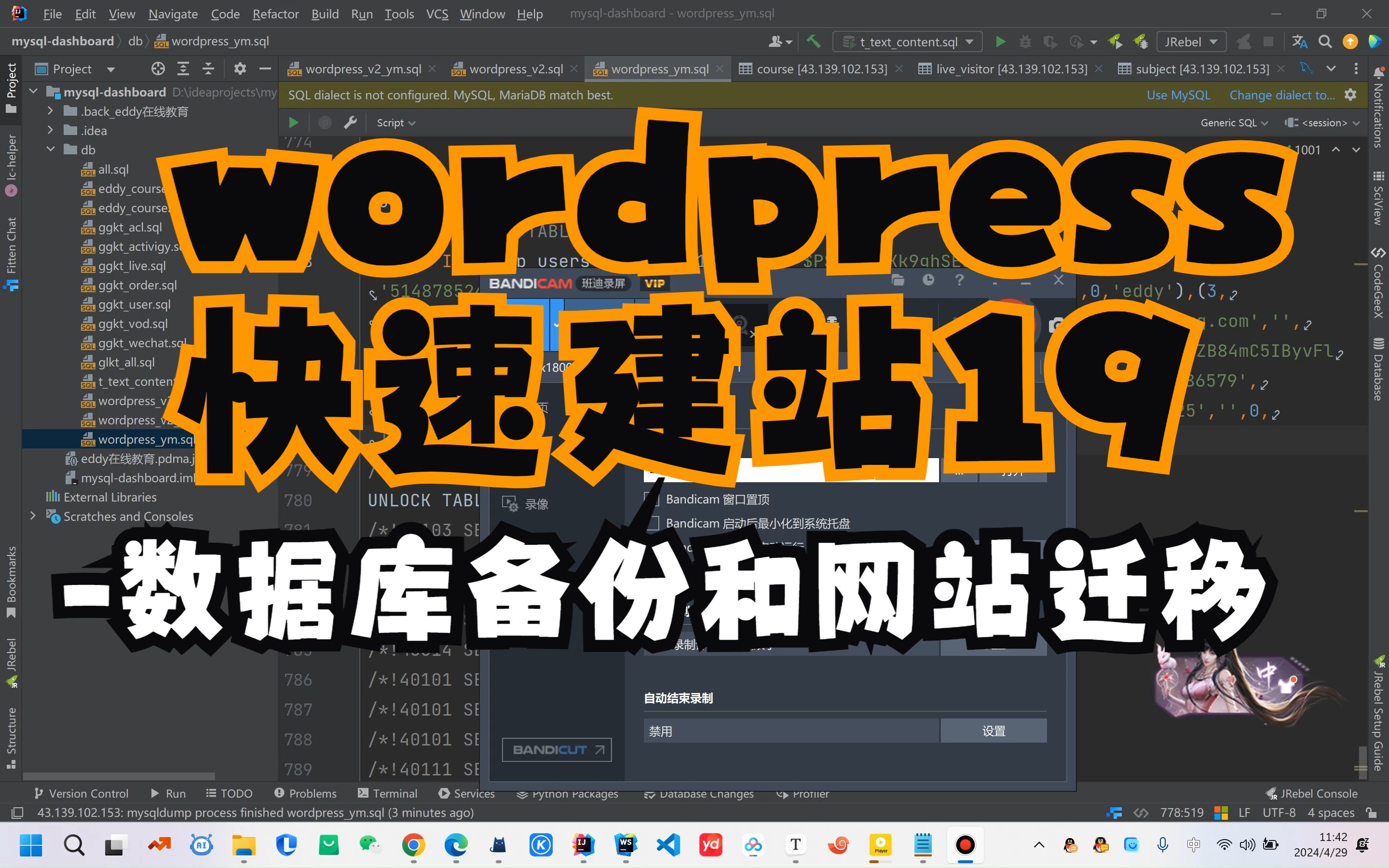 wordpress快速建站19数据库备份和网站迁移哔哩哔哩bilibili