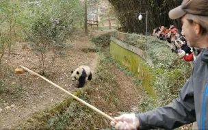 Скачать видео: 其实毛笋是风一样的女子！（内有与精灵王历史性的会晤时刻）