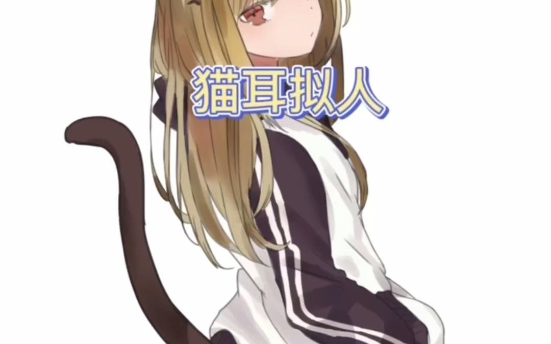 【动物拟人化】猫耳拟人高冷型哔哩哔哩bilibili