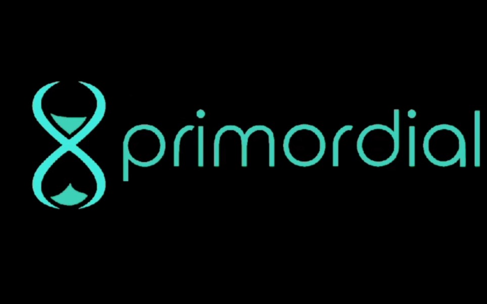 primordial.fun