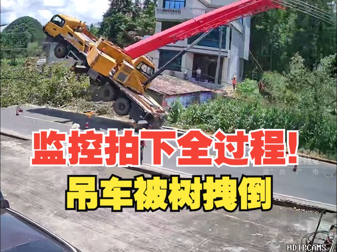 吊车作业时发生意外,整车直接被树拽倒!