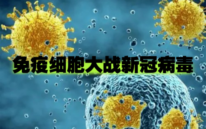 纪录片《免疫细胞大战新冠病毒》纪录片详细讲述了新冠病毒进入身体后
