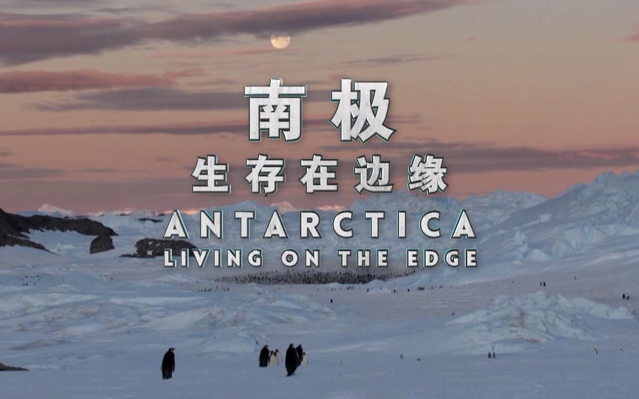 [图]南极：生存在边缘 Antarctica：Living on the edge