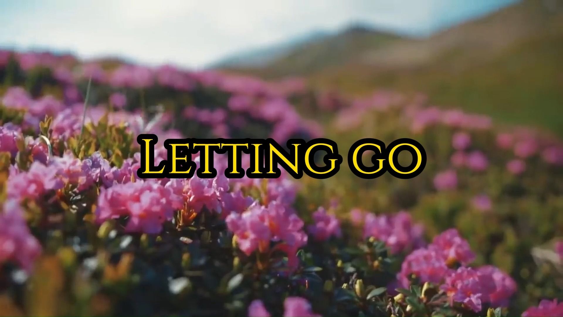 [图]【杜比音效】蔡健雅-Letting go