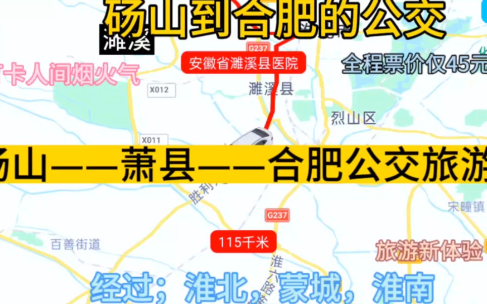 砀山开往合肥的公交线路来了,票价仅45元哔哩哔哩bilibili