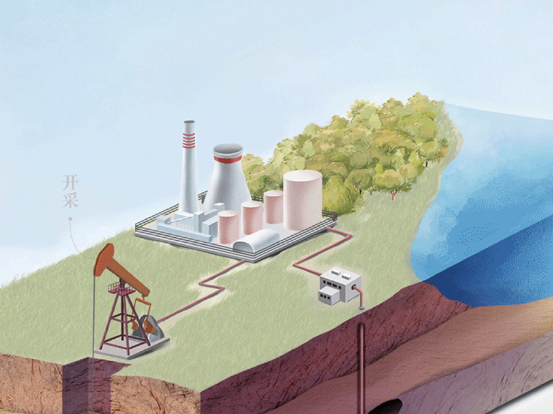 碳中和下的人类碳循环示意图