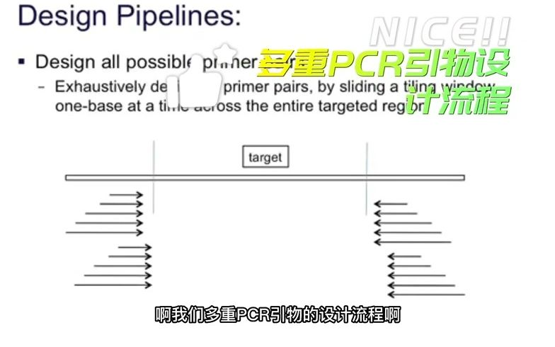 NGS之多重PCR引物设计流程及原理哔哩哔哩bilibili