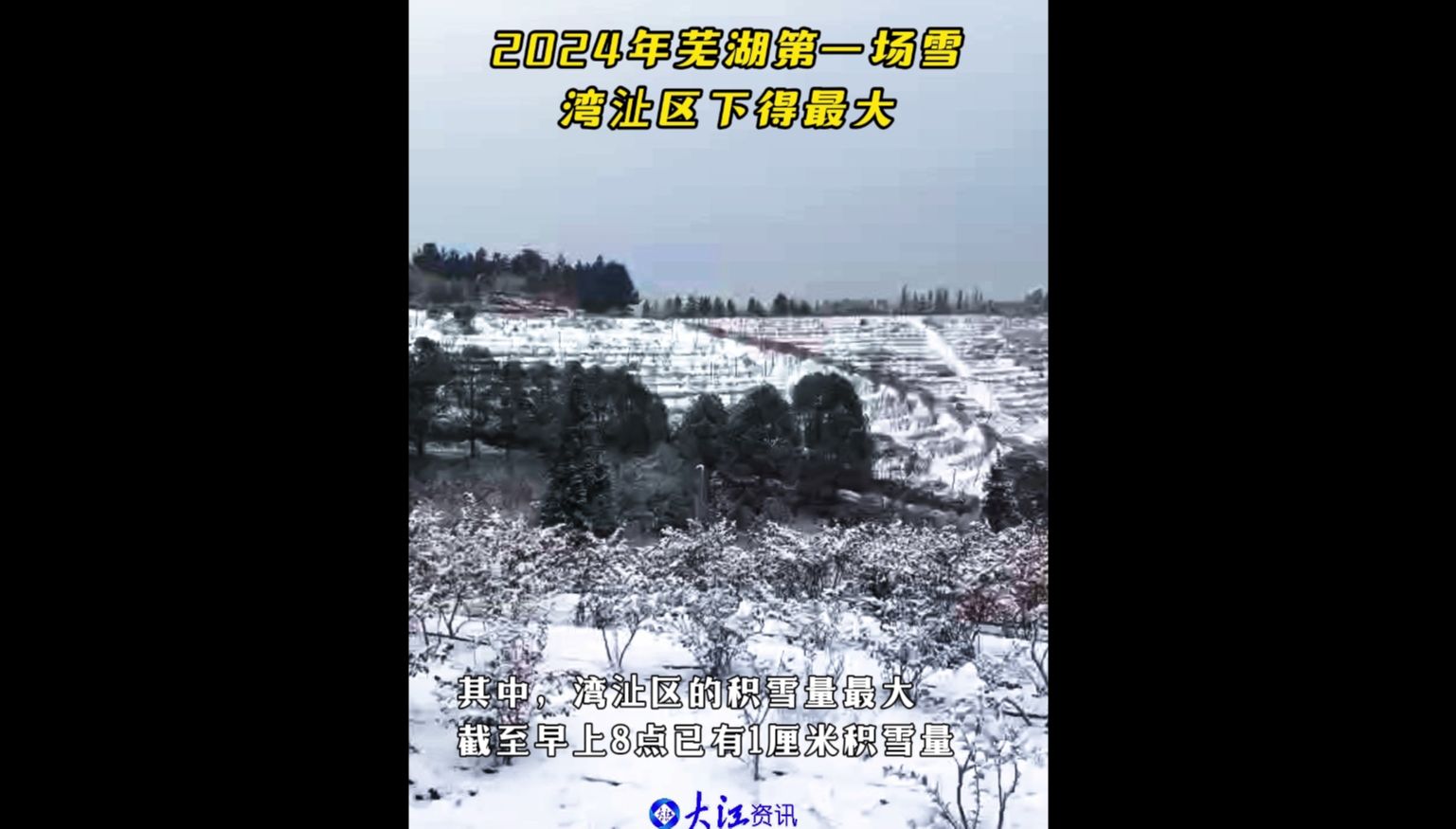 2024年芜湖第一场雪湾沚区下得最大哔哩哔哩bilibili