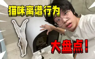 Descargar video: 你永远不知道猫咪能多离谱！猫咪离谱行为大盘点