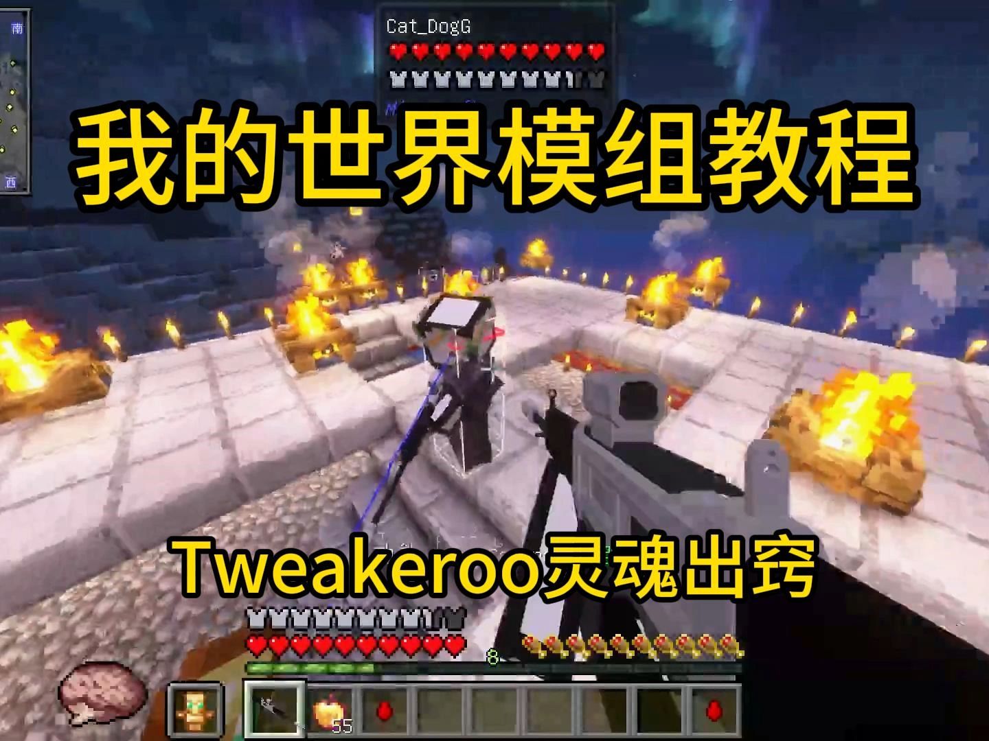 我的世界Tweakeroo模组，灵魂出窍保姆级教程-高个子悦-默认收藏夹-哔哩哔哩视频