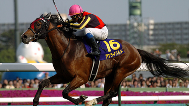 涙を馬のたてがみに 寺山修司・競走馬の詩 涙を馬のたてがみに~寺山修司・競走馬の詩 - Amazon.com Music
