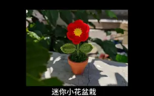 Descargar video: 迷你小花盆栽钩织教程（二）