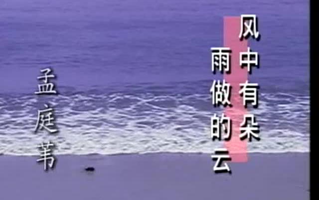 厦新名曲MTV(一)哔哩哔哩bilibili