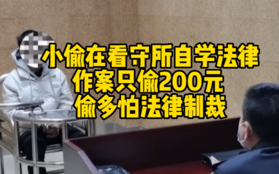 小偷在看守所自学法律后作案只偷200 偷多怕法律制裁哔哩哔哩bilibili