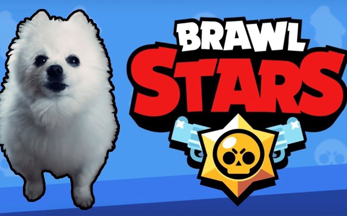 [图]【荒野乱斗/BRAWL STARS】用狗叫出来的BS标题画面BGM em CACHORRÊS