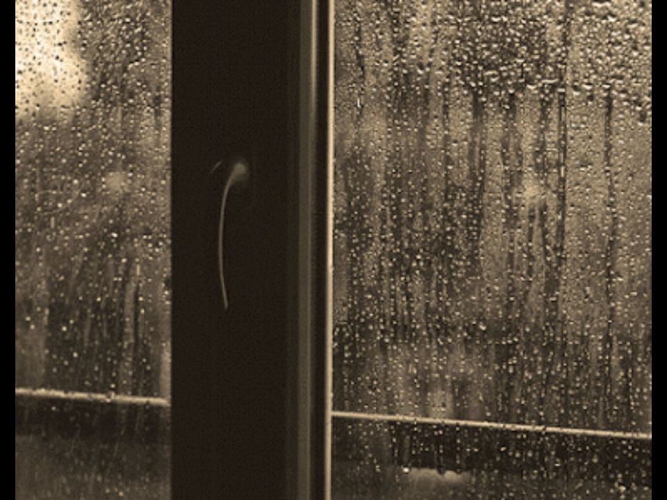 【白噪音】窗外的雨