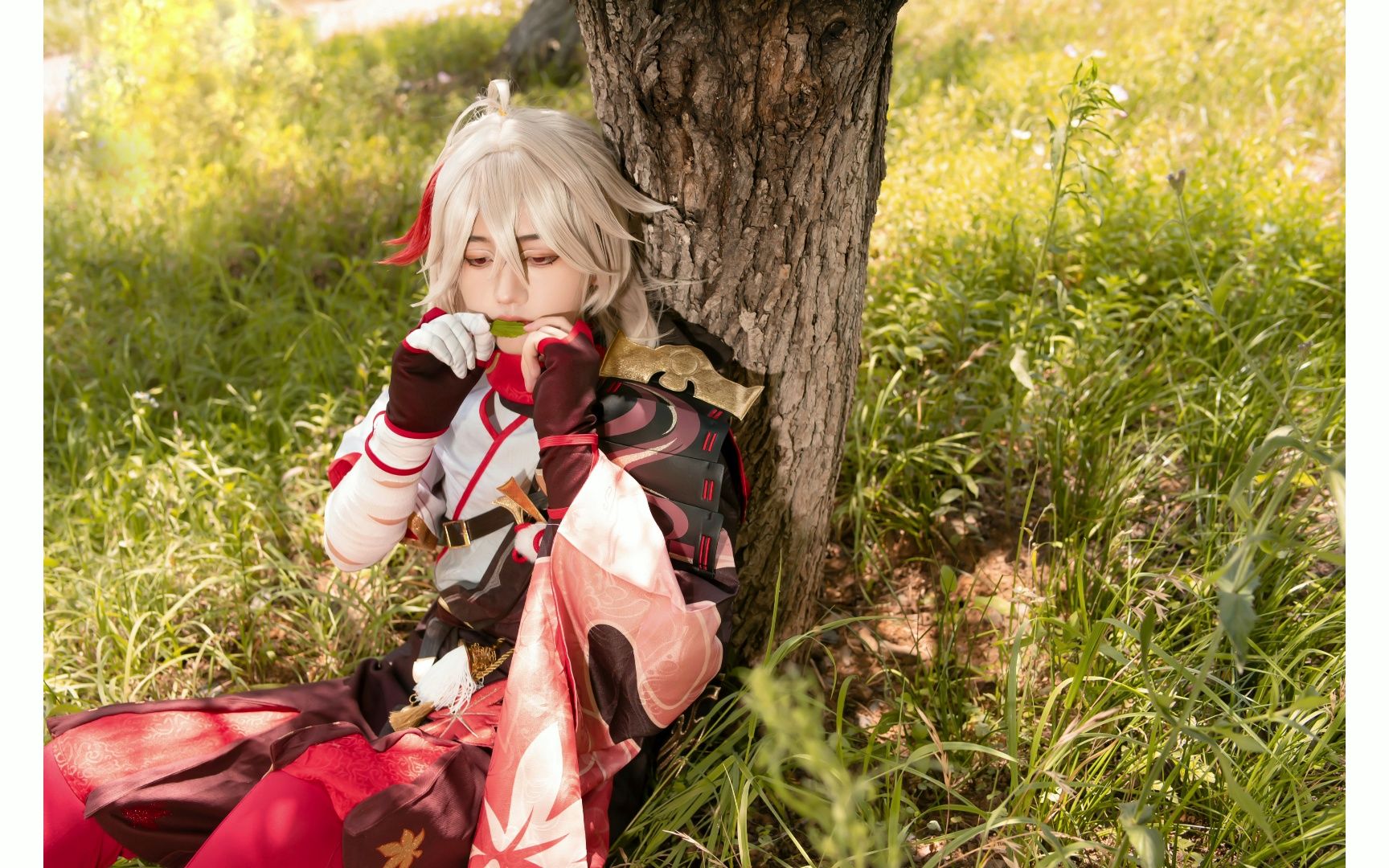 【万叶cos】magenta potion/万叶,滇池和我(第一次cos)