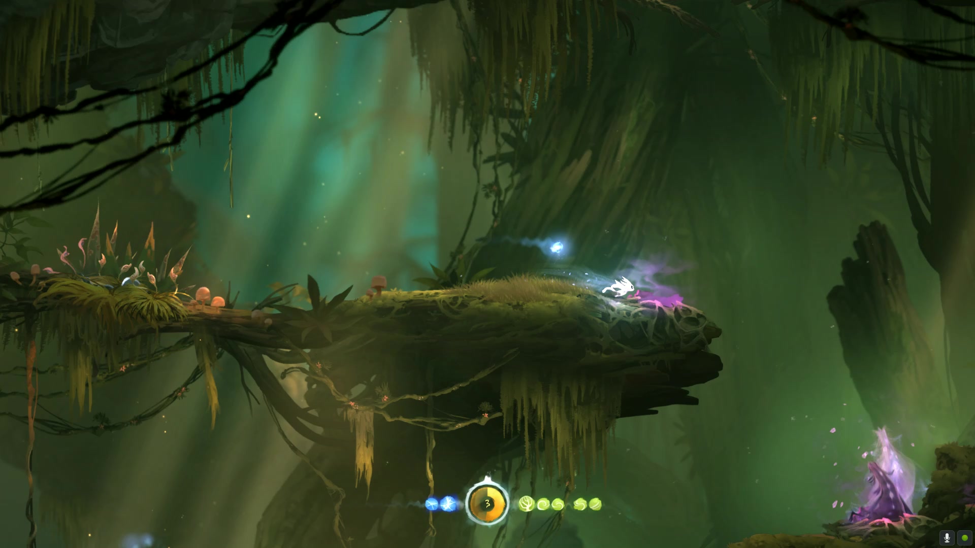 奥日与迷失森林终极版 邪道速通剧情向 7_哔哩哔哩_bilibili