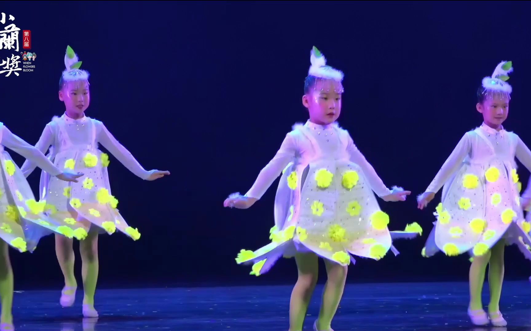 [图]第八届“小兰花奖”全国舞蹈展演完整版剧目《蒲公英的远行》