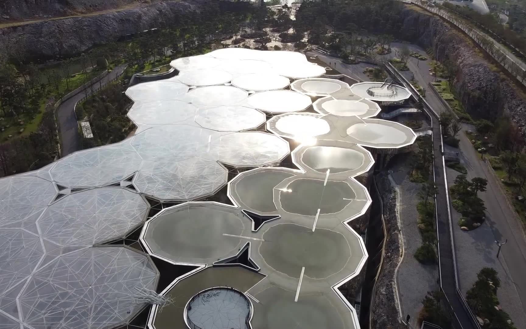 南京园博园水下植物园图片