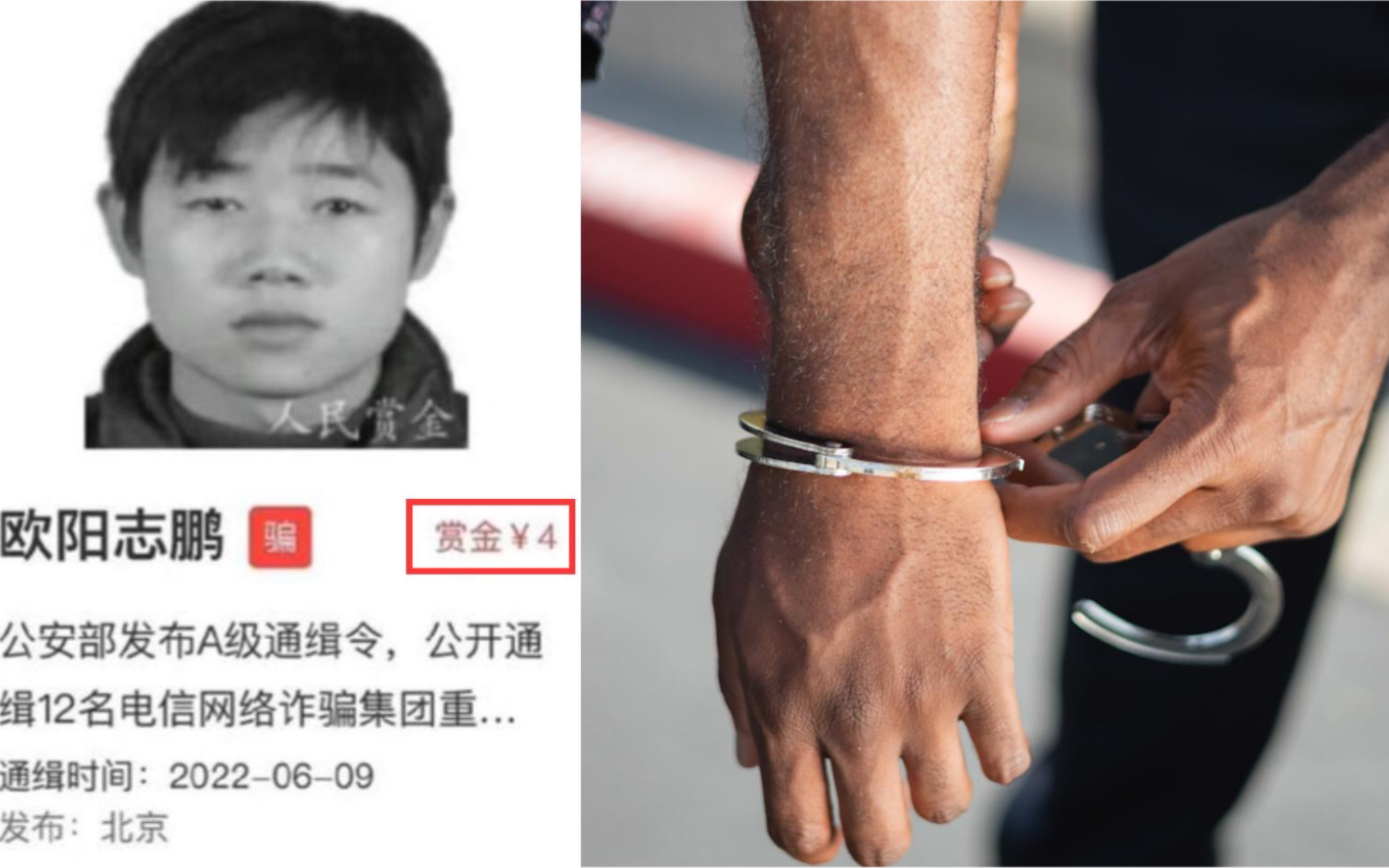 一名通缉犯的抓捕赏金仅4元?涉事悬赏平台:已经涨到16元哔哩哔哩bilibili