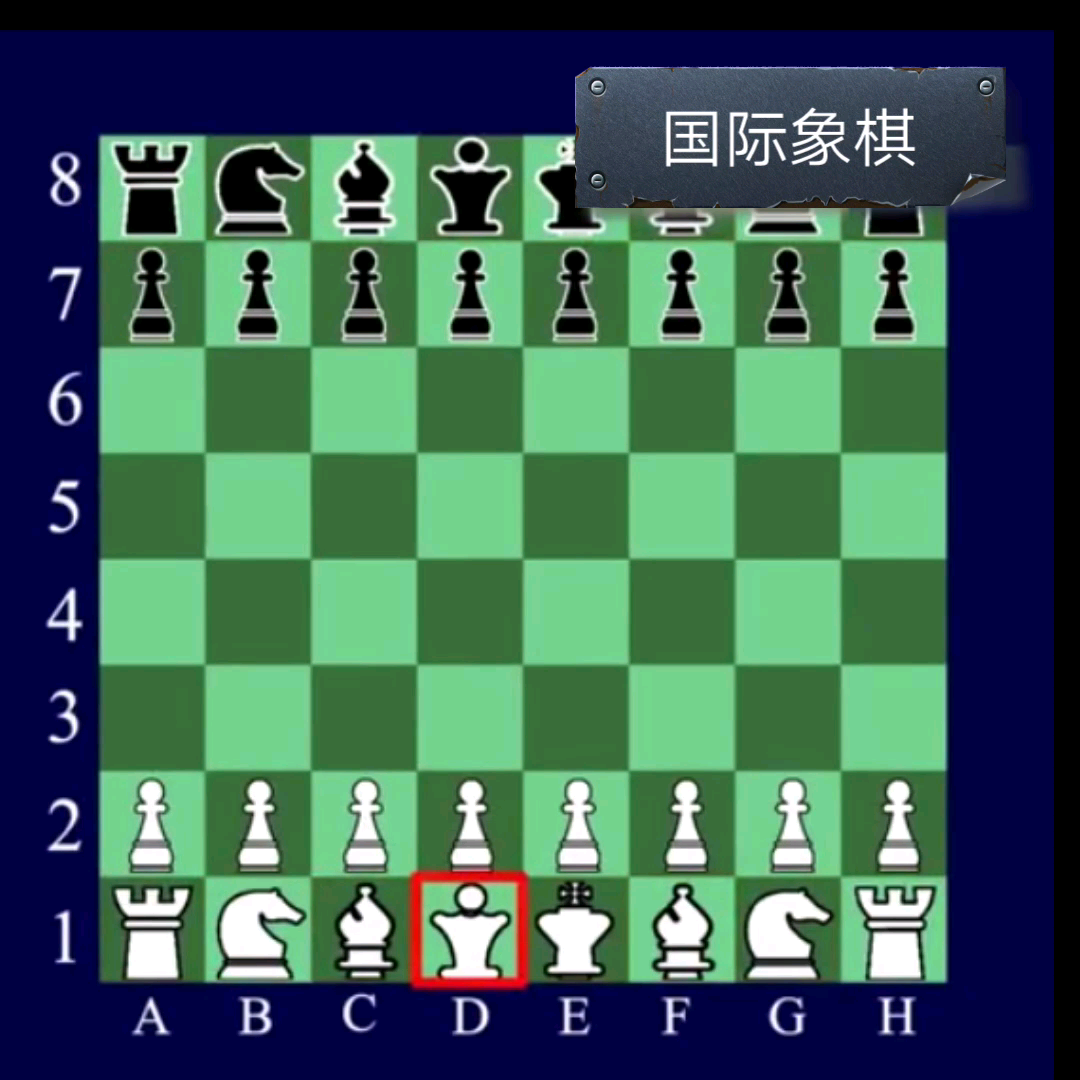 国际象棋基本规则,小白必看!哔哩哔哩bilibili